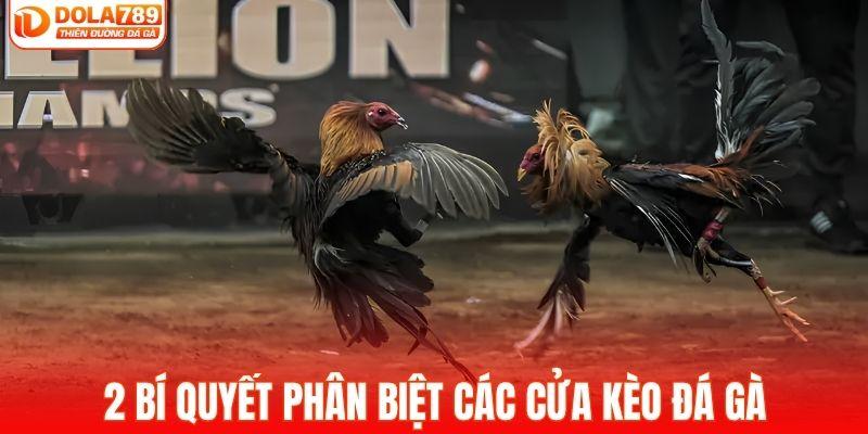 2 bí quyết phân biệt các cửa kèo đá gà
