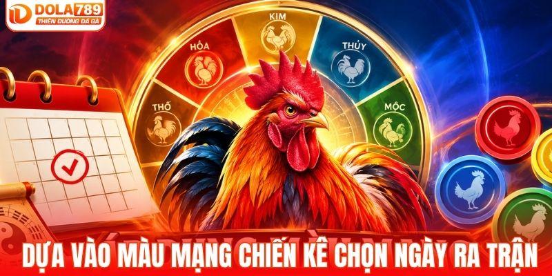 Áp dụng màu mạng chiến kê chọn ngày ra trận