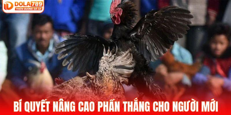 Bí quyết nâng cao phần thắng cho người mới