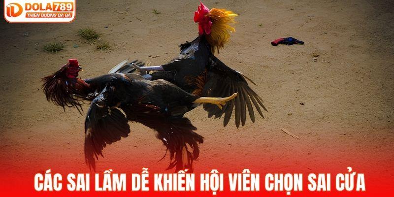 Các sai lầm dễ khiến hội viên chọn sai cửa