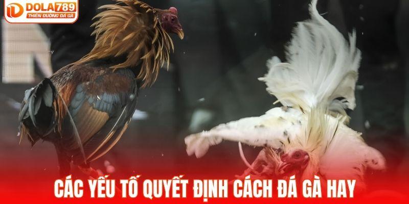 Các yếu tố quyết định cách đá gà hay