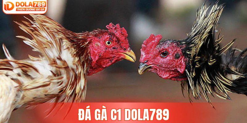 Đá Gà C1 DOLA789