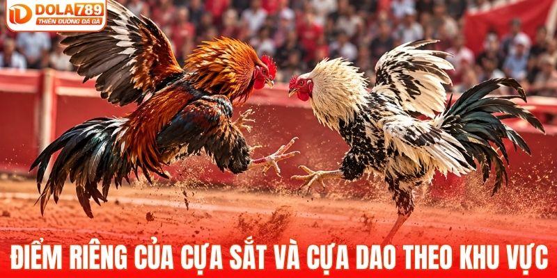 Điểm riêng của cựa sắt và cựa dao theo khu vực