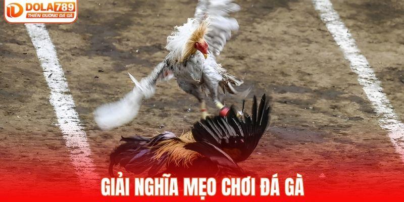 Giải nghĩa mẹo chơi đá gà