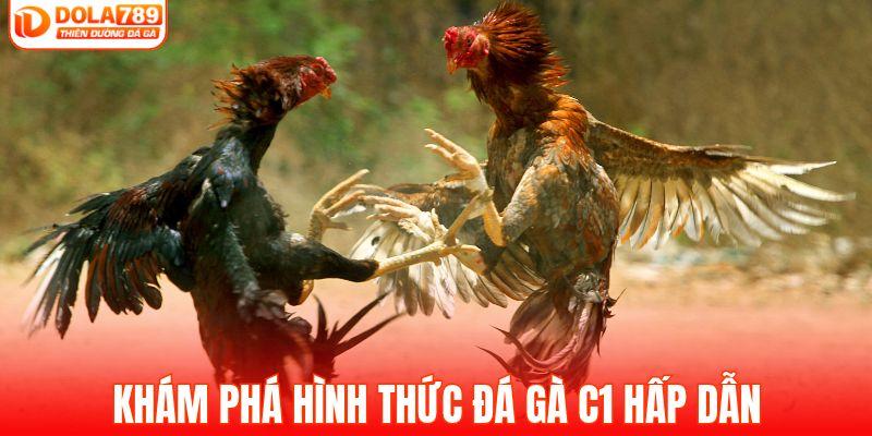 Khám phá hình thức đá gà C1 hấp dẫn
