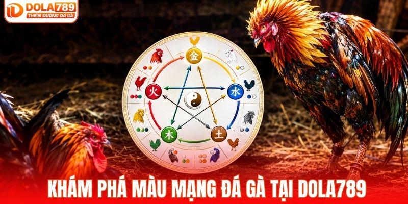 Khám phá màu mạng đá gà chuẩn xác nhất