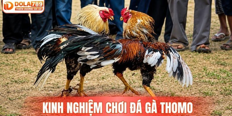 kinh nghiệm chơi đá gà thom