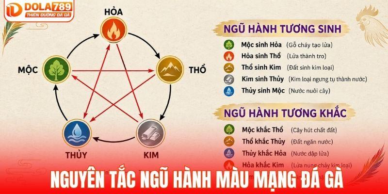 Nguyên tắc tương sinh tương khắc khi xem màu mạng