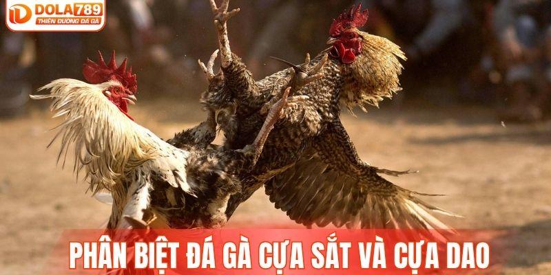 Phân biệt đá gà cựa sắt và cựa dao