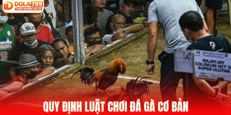Quy định luật chơi đá gà cơ bản