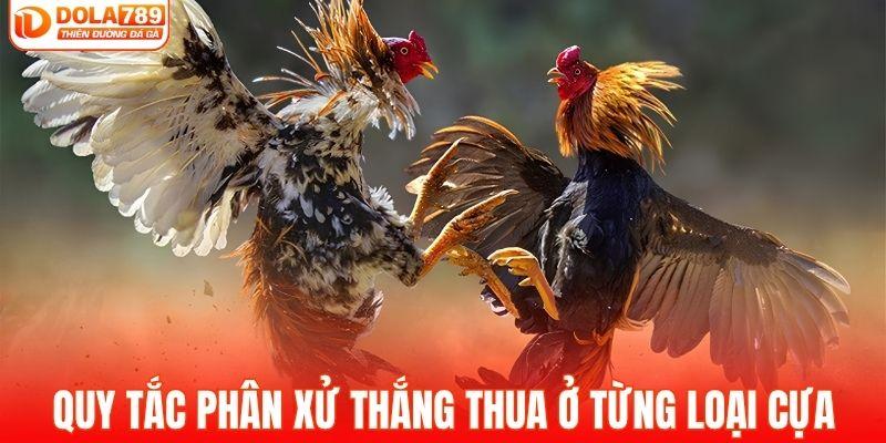 Quy tắc phân xử thắng thua ở từng loại cựa