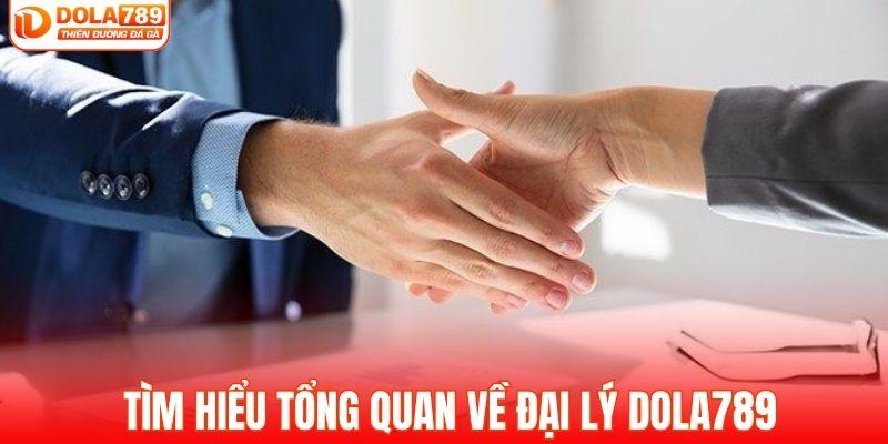 Tìm hiểu tổng quan về chương trình đại lý DOLA789