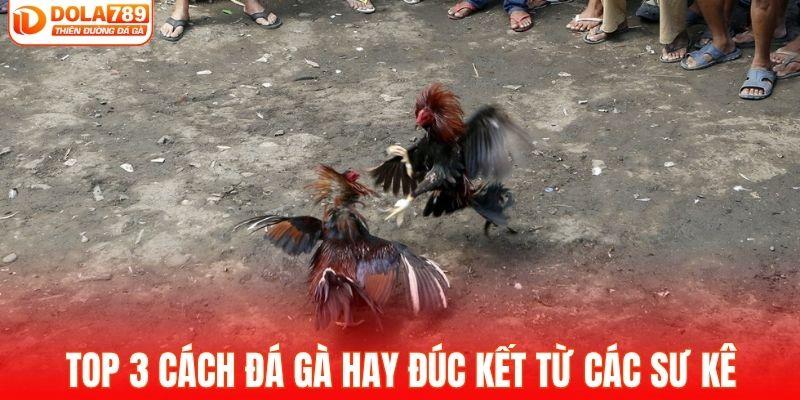 Top 3 cách đá gà hay đúc kết từ các sư kê
